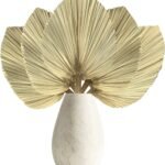 Dried Palm Leaves
