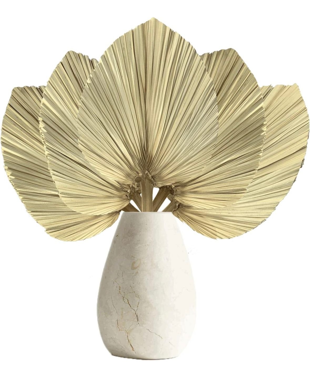 Dried Palm Leaves