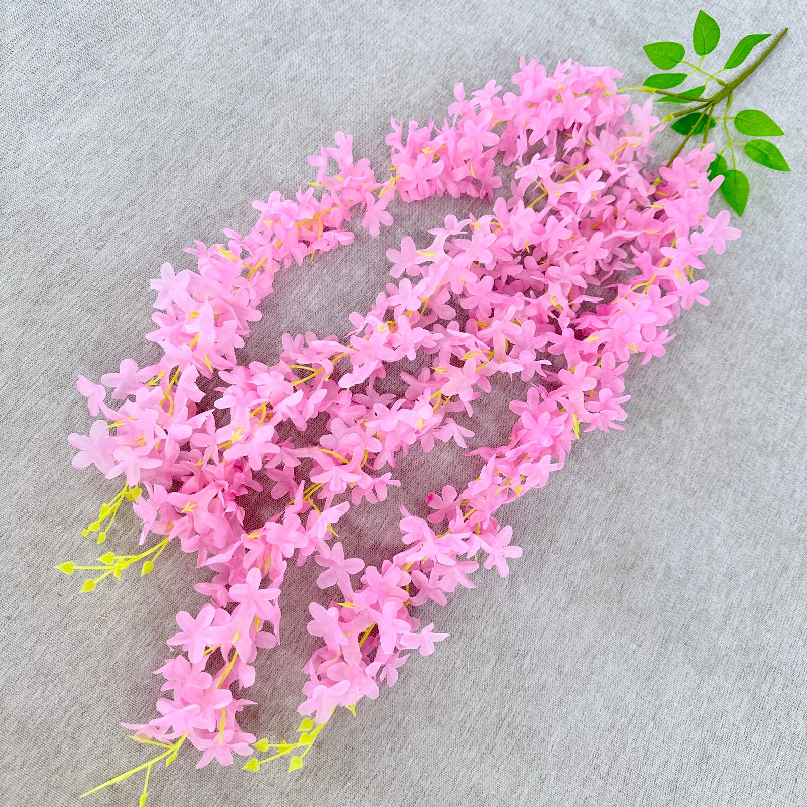 Wisteria