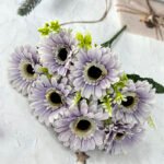Gerbera Daisy