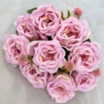 Bloom Rose
