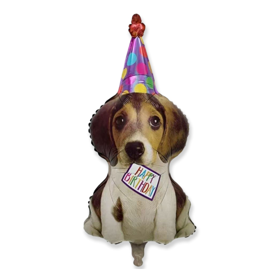 HB Dog