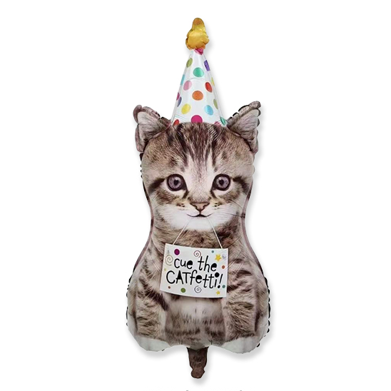 HB Cat